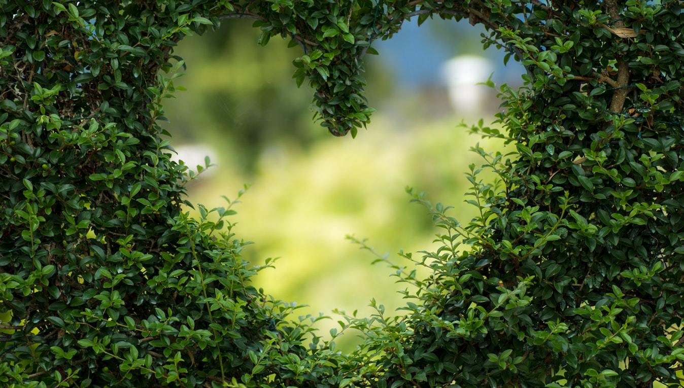 5 Ways to Become an Eco-Friendlier Family