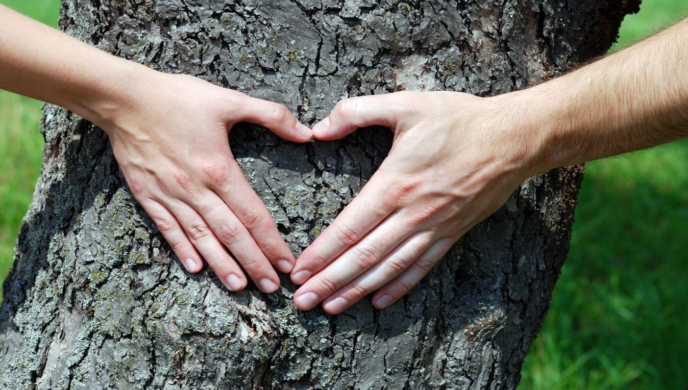 Tiny Details for Your Big Day: 5 Tips for a More Rustic Ceremony