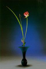 Contemporary Floral Design