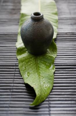 Creative Containers for your Flower Arrangements - Making Moss Covered Pots
