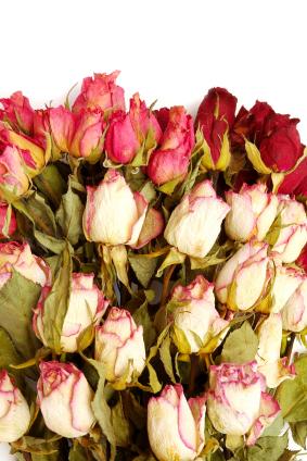 DIY How to Dry Roses