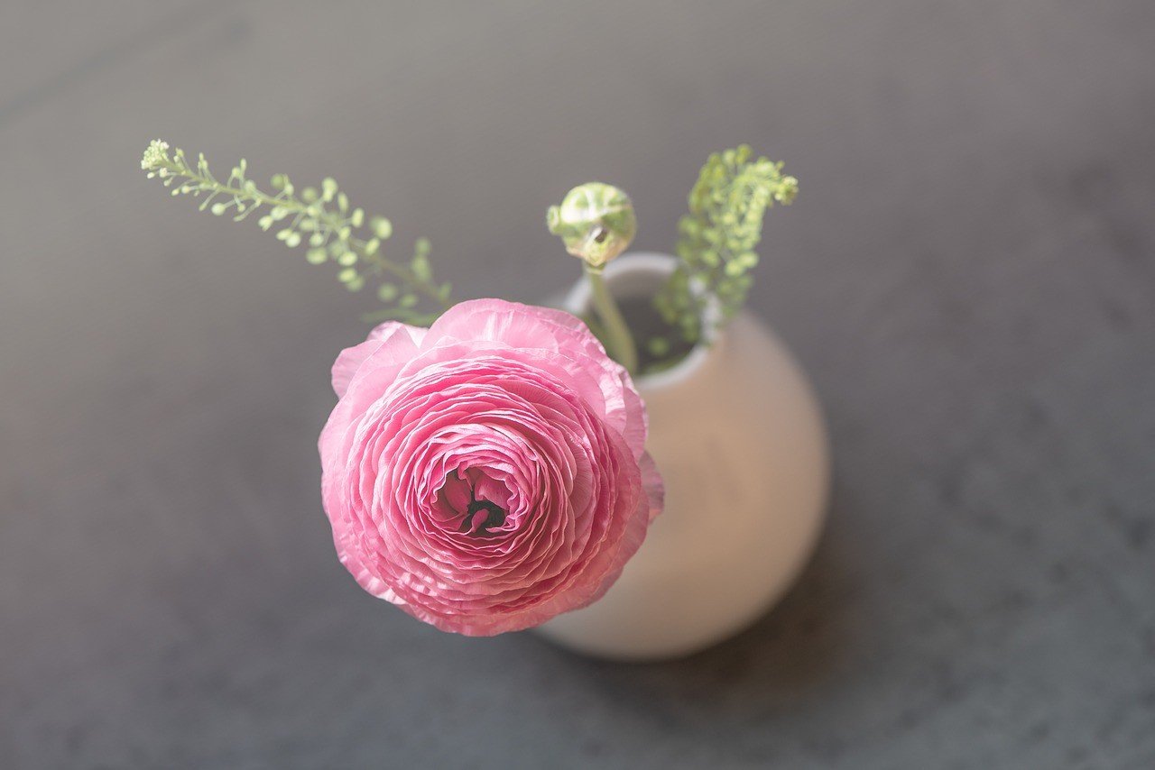 6 Vase-Worthy Flowers for a Spring Home Makeover