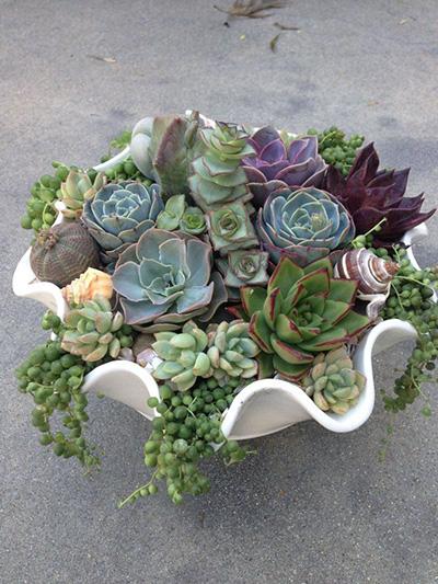 Top 10 Succulent Decorating Ideas