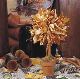 DIY Make a Dried Orange Peel Topiary Tree