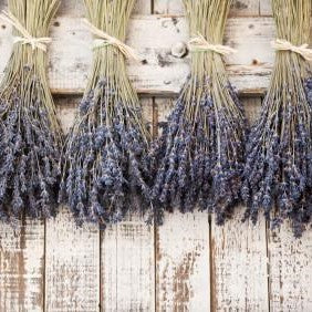Botanicals