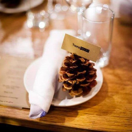 Pine Cones