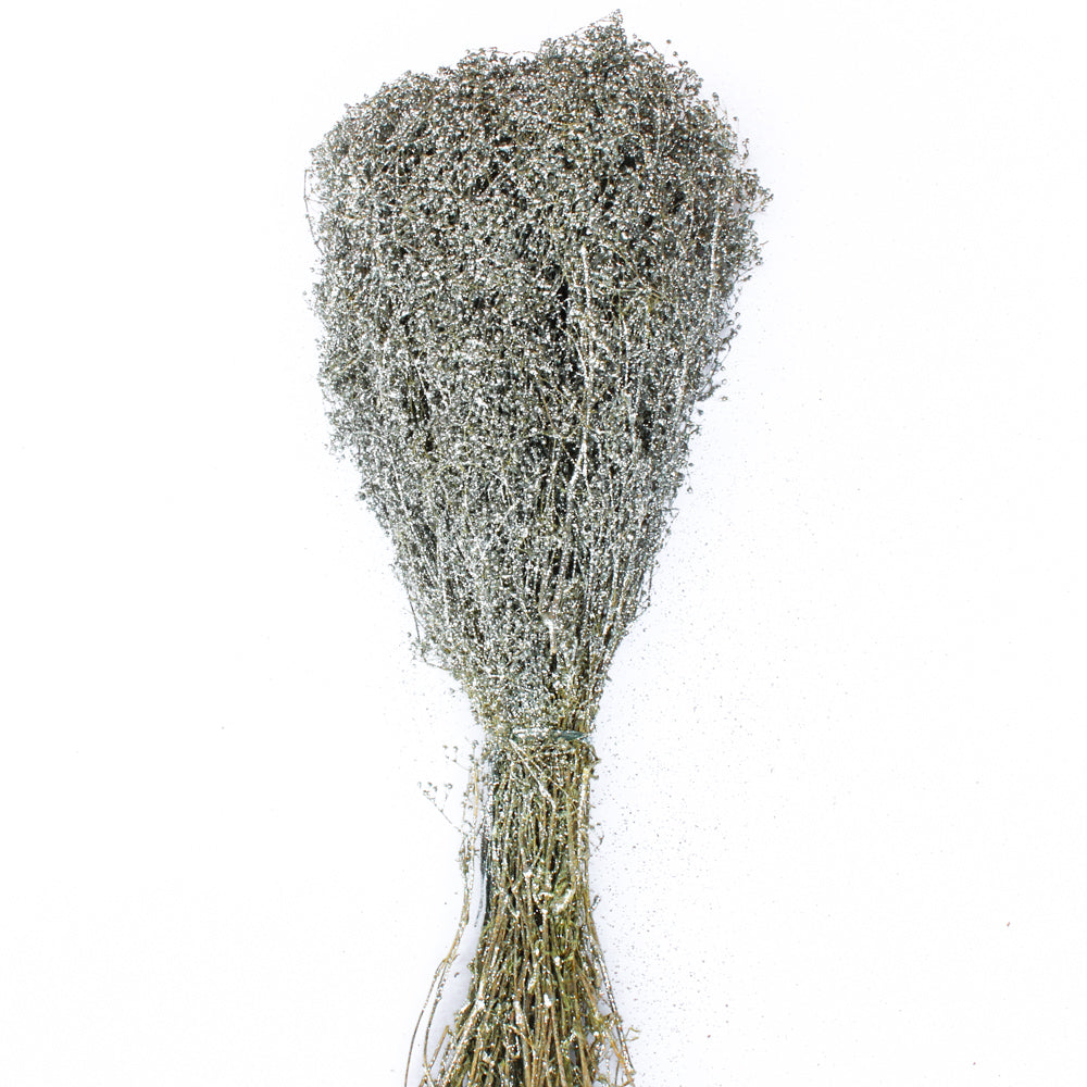 Silver Sparkle Preserved Baby's Breath 24in 4oz Bundle