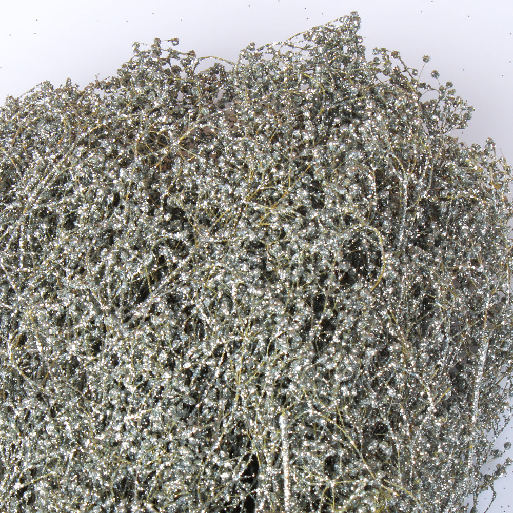 Silver Sparkle Preserved Baby's Breath 24in 4oz Bundle - view 2