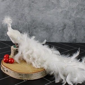 2 of 4: White Feathered Peacock 16in