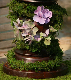 3 of 3: Preserved Moss Vine Roll 60 Feet