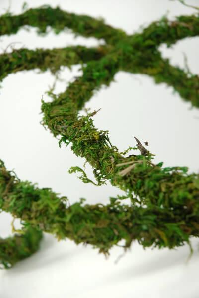 moss vine preserved 12ft - view 1