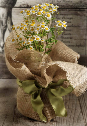 3 of 4: 12 rustic burlap pot gift wrap 20 x 20