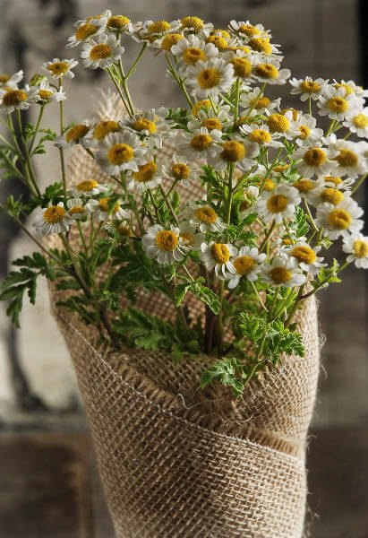 12 Rustic Burlap Pot Gift Wrap - 20 x 20 - view 4