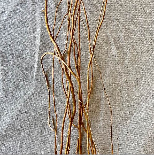 Curly Willow Tree Branch Bundle, 3-4 Feet - view 2