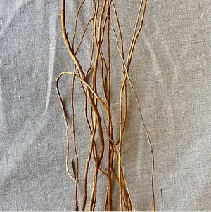 2 of 4: Curly Willow Tree Branch Bundle, 3-4 Feet