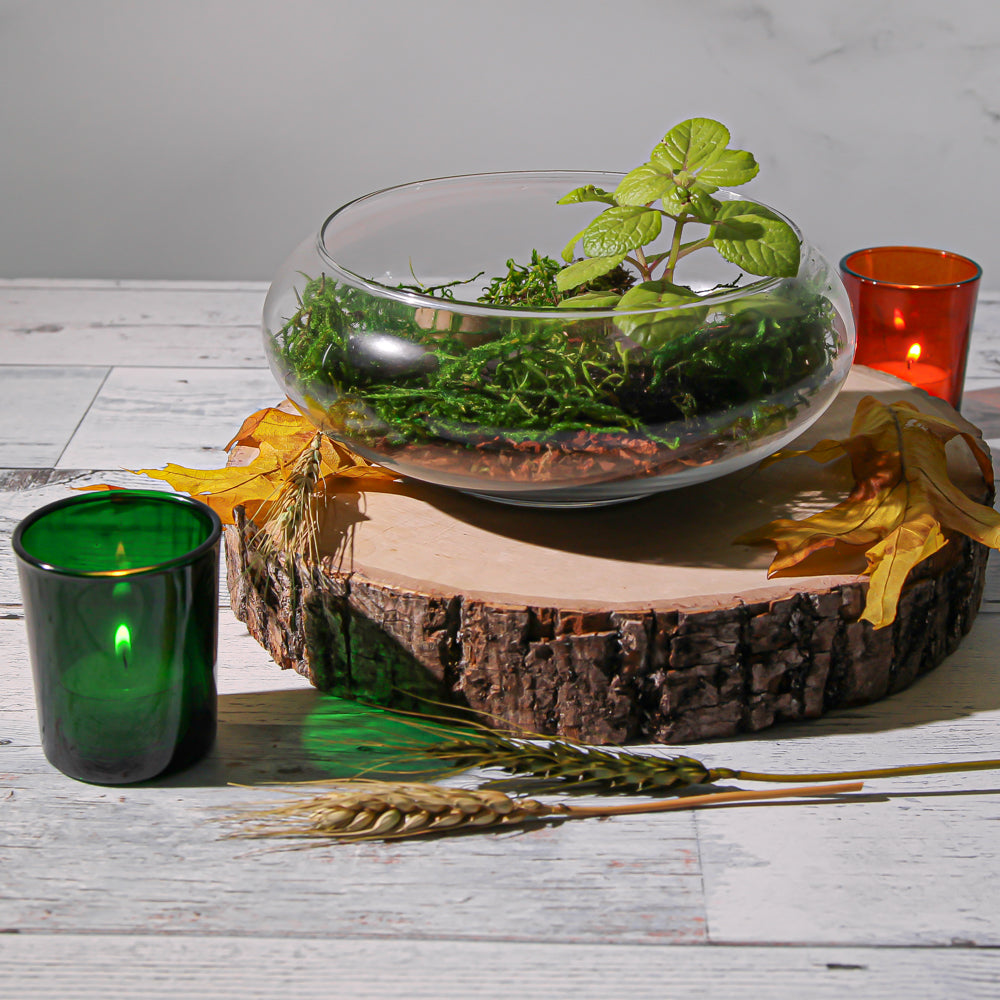 Eastland Votive Holder Green Set of 12