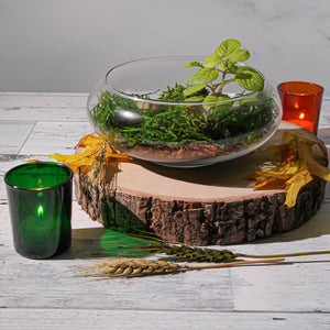 2 of 2: Eastland Votive Holder Green Set of 12