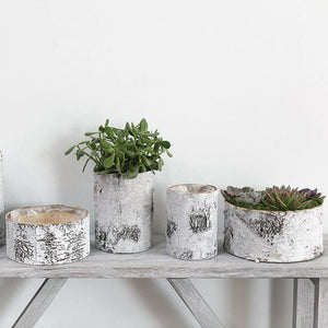 2 of 4: Whitewashed Birch Bark Bowl Vase 10x4.7