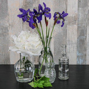 3 of 4: Richland 8" Milk Bottle Vase Set of 12