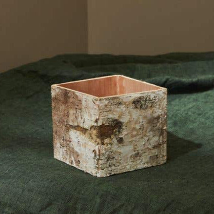 Birch Bark Square Pot w/Liner 4.5x5 - view 2