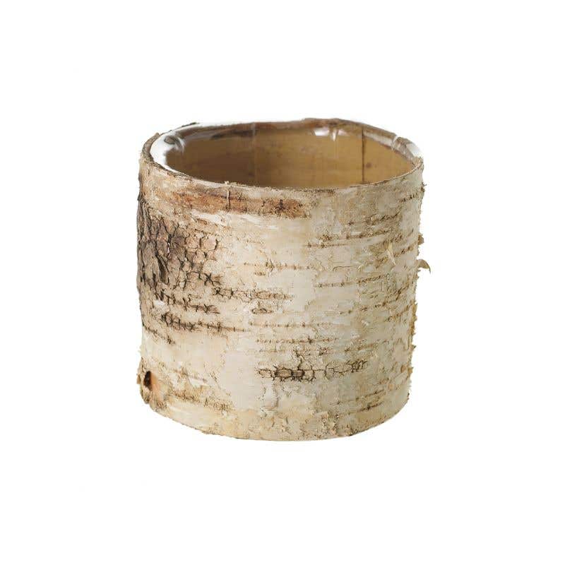 Birch Bark Planter Pot 4.75" w/Liner - view 4