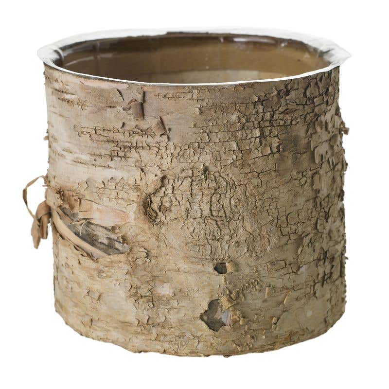 Birch Bark Planter Pot 7x6 w/Liner - view 4
