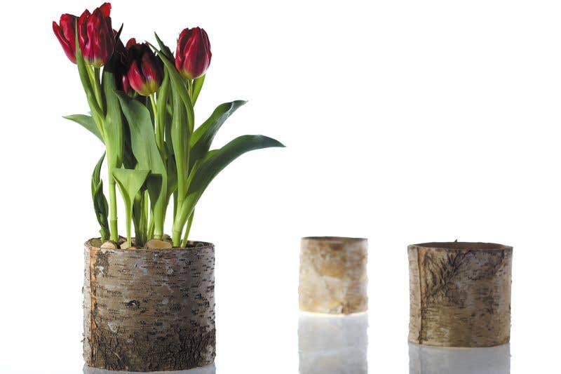 Birch Bark Planter Pot 6x5.25 w/Liner - view 5