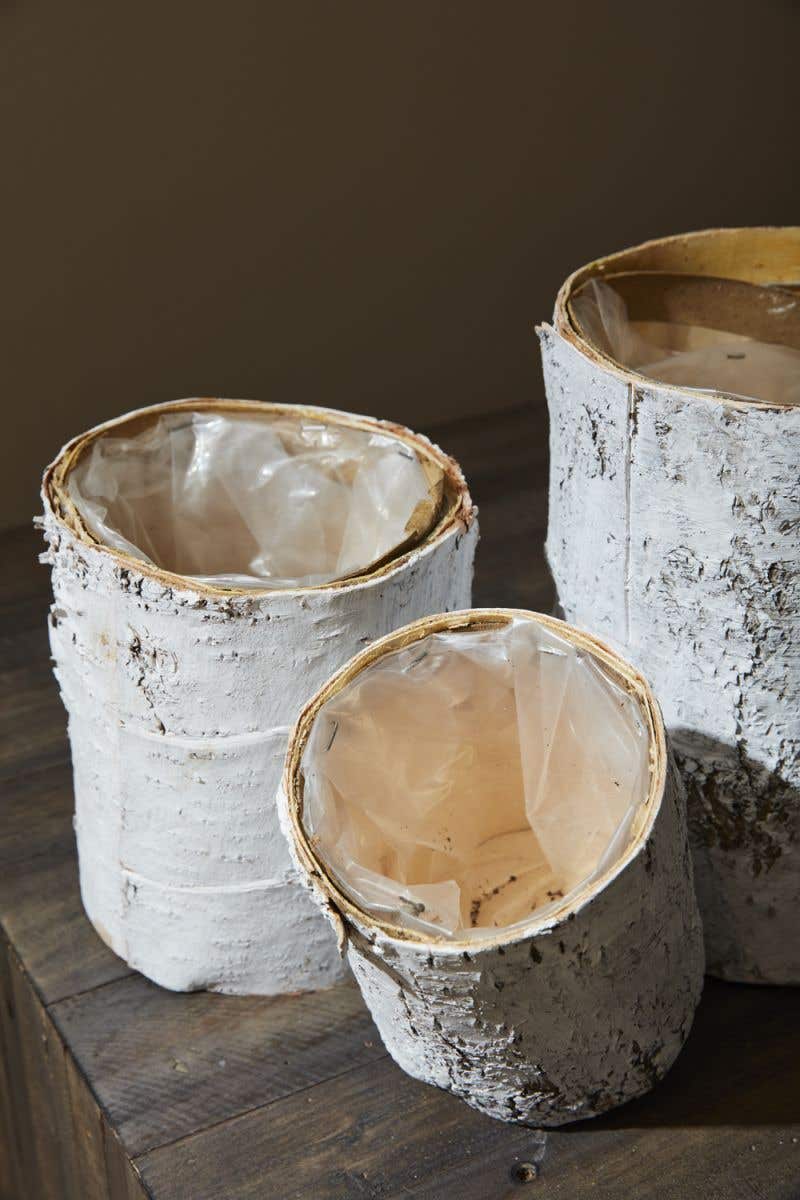 Whitewashed Birch Bark Vase 4.75x6 - view 3