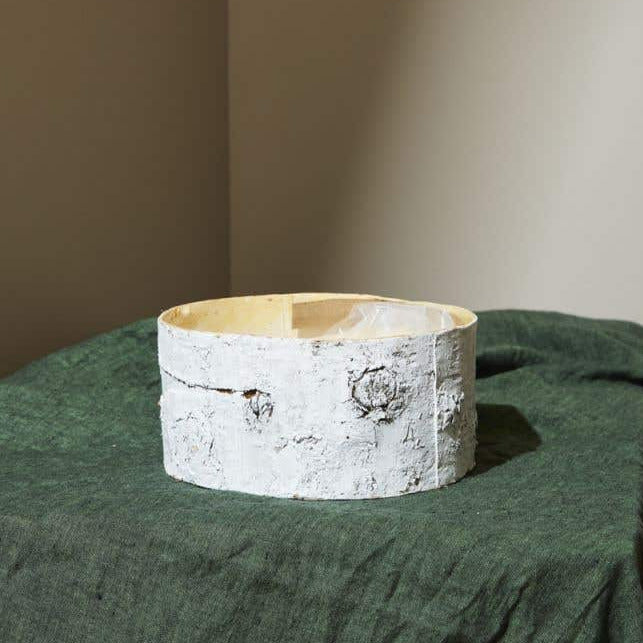 Whitewashed Birch Bark Bowl Vase 10x4.7 - view 3