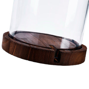 3 of 3: 16" Glass Cloche with Wood Base