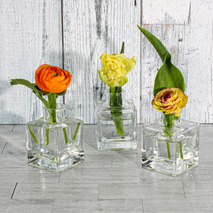 2 of 3: Richland Glass Bud Vase Square