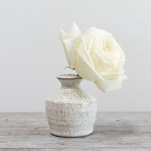 3 of 3: Richland Hari Budvase 3" x 3.5" Set of 4