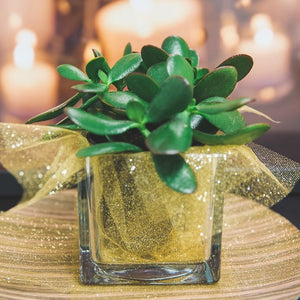 3 of 3: Richland Square Glass Cube Vase 4" 