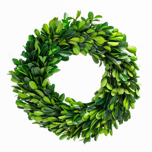 1 of 5: richland preserved boxwood wreath 8 set of 12