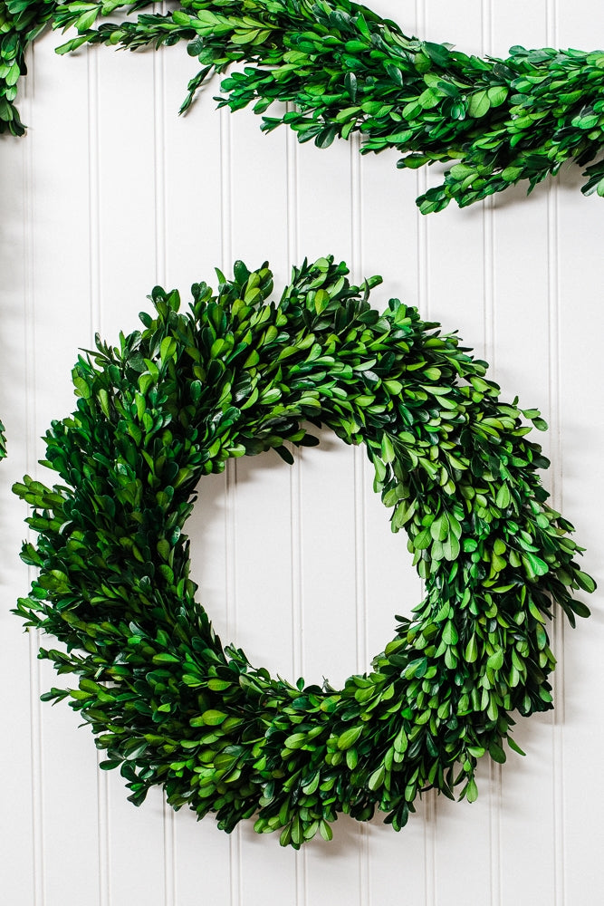 Richland Preserved Boxwood Wreath 17” Set of 6 - view 2