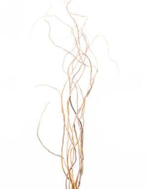 4 of 4: Curly Willow Tree Branch Bundle, 3-4 Feet
