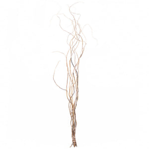 3 of 4: Curly Willow Tree Branch Bundle, 3-4 Feet