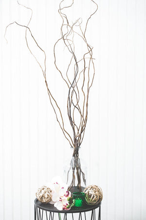 1 of 4: Curly Willow Tree Branch Bundle, 3-4 Feet