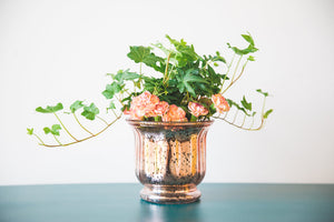 2 of 2: Richland Mercury Venus Jar Rose Gold