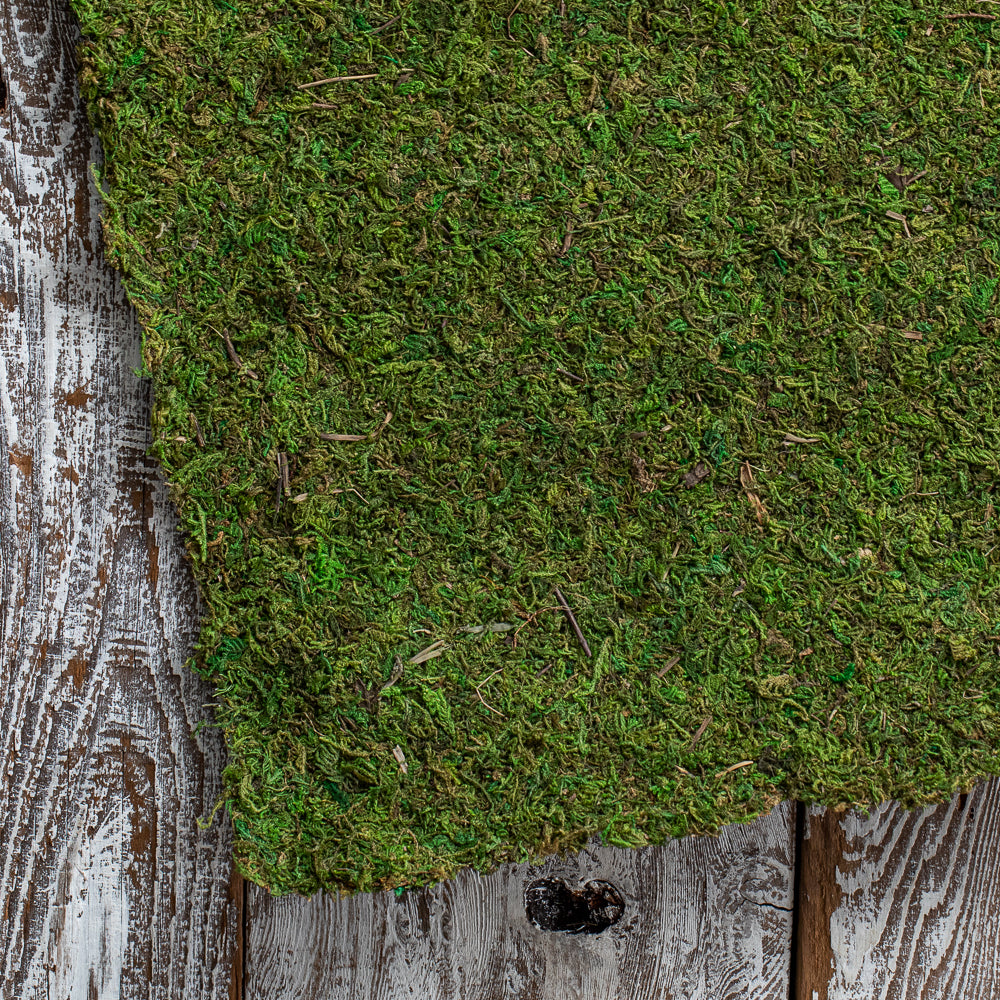 Preserved Natural Moss 14 x 48" Roll - view 1