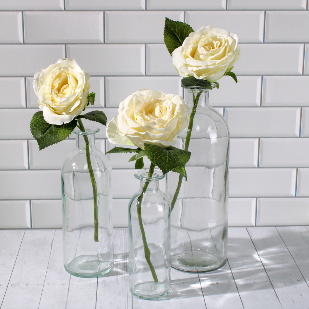 Richland Apothecary Glass Bottle 10" Set of 6 - view 3