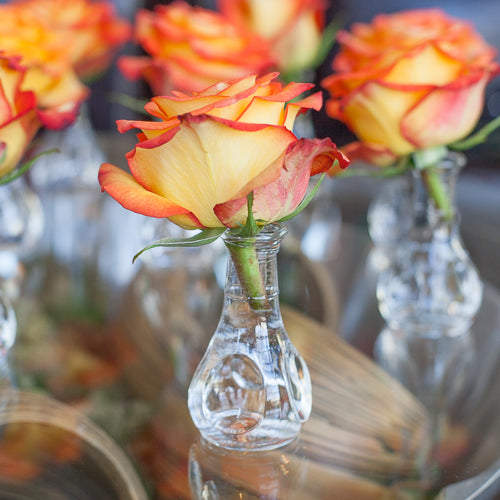Eastland Pinched Bud Vase 3.5" Set of 24