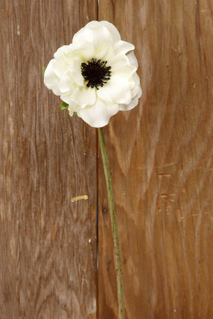 1 of 3: Cream White Silk Anemone Flowers 15in