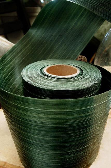 variegated aspidistra ti leaf floral ribbon 4in x 50 yards