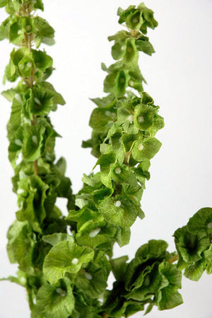 4 of 4: Silk Bells of Ireland 5 Stems 21in