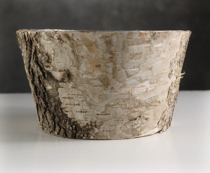 Natural Birch Bark Zinc Pot Planter 6x3 - view 2