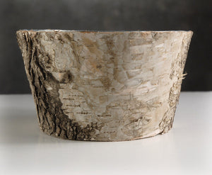 2 of 3: Natural Birch Bark Zinc Pot Planter 6x3