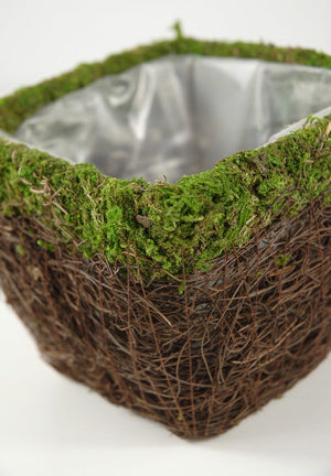 3 of 3: Moss and Wicker Square Pot 5in