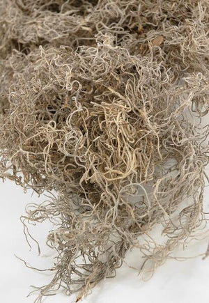 1 of 2: spanish moss natural 125 cubic inches