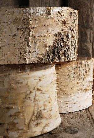 3 of 3: birch bark planter pot 6 5x 3 5 inch